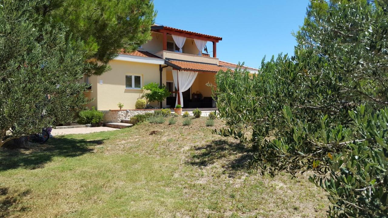 Resort Apartment Petrovic Σίμπενικ Εξωτερικό φωτογραφία