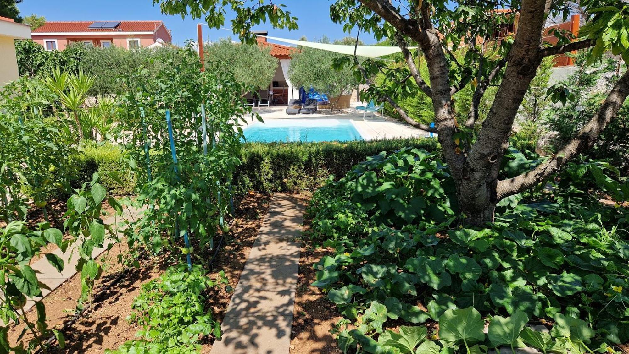 Resort Apartment Petrovic Σίμπενικ Εξωτερικό φωτογραφία